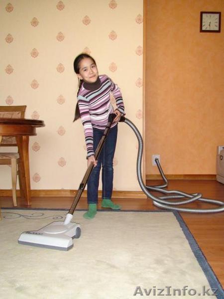 Встроенный Пылесос - Изображение #1, Объявление #2863