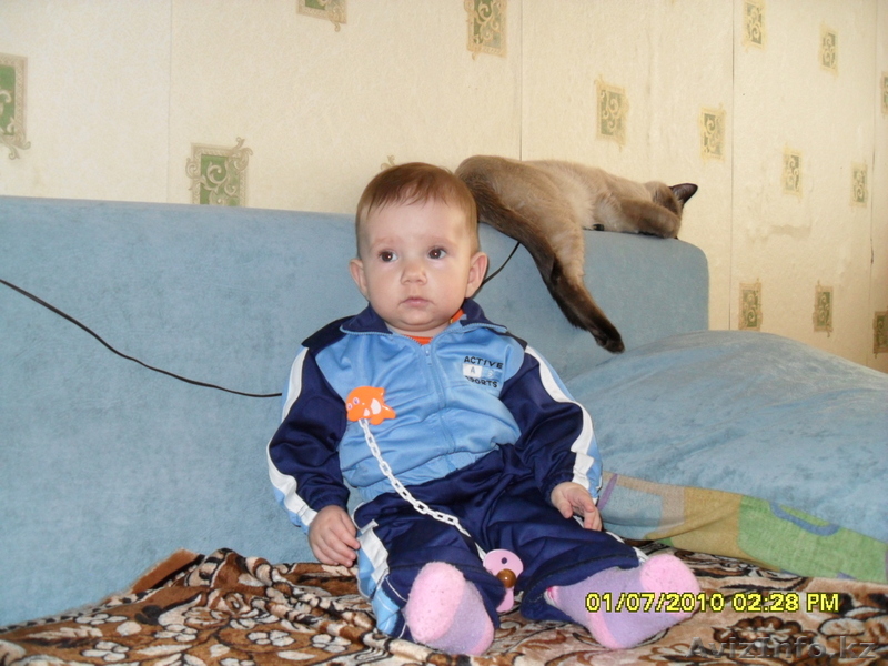 Сниму 2ком квартиру - Изображение #1, Объявление #15785