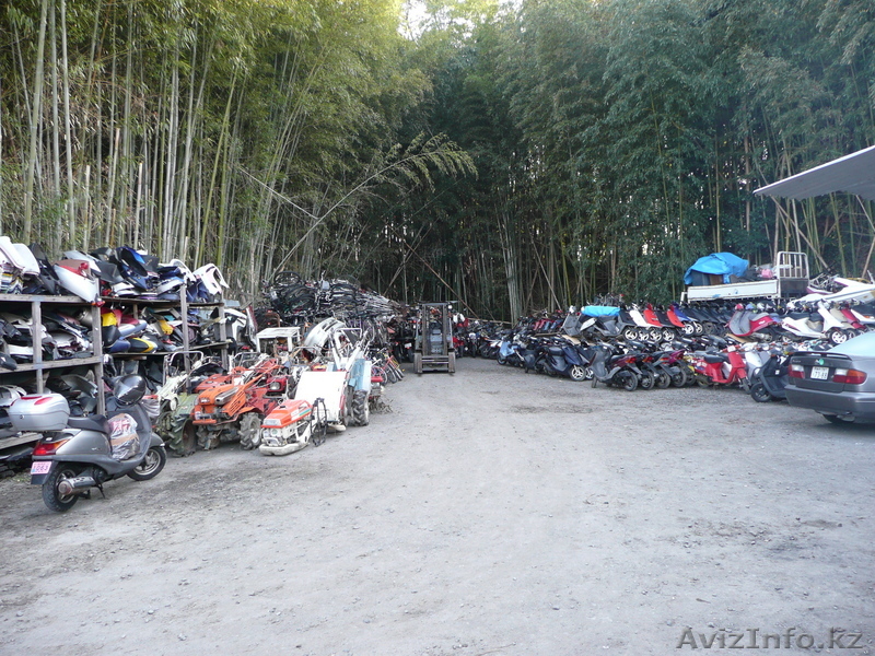 Мопеды,культиваторы,трактора - Изображение #1, Объявление #60991