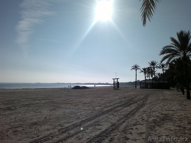 сдаю квартиры у моря на майорке - Изображение #1, Объявление #148442