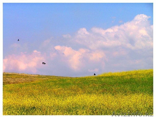 Земельный участок 3 Га Астана - Изображение #1, Объявление #69600