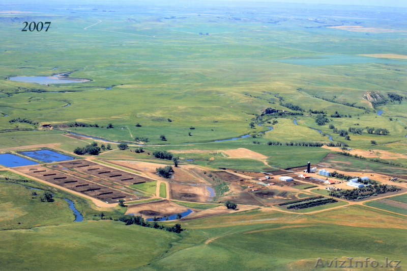 Развитие скотоводческих ферм и агропромышленности - Изображение #1, Объявление #140143