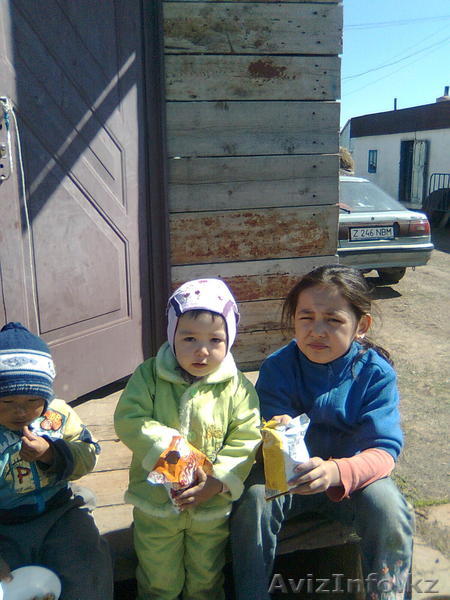 Продам дом в посёлке Талапкер - Изображение #1, Объявление #271611