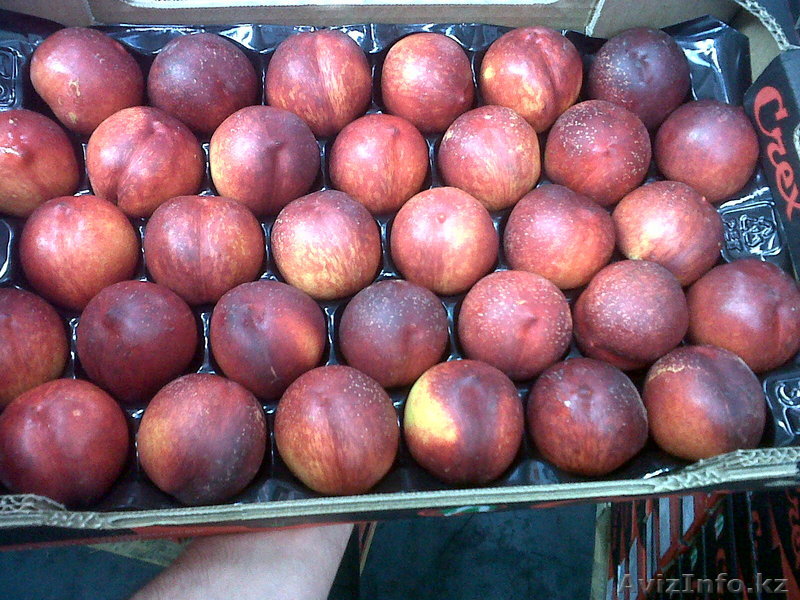 Продам нектарина - Изображение #1, Объявление #267647