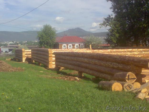 Срубы  хвойных пород - Изображение #1, Объявление #305545