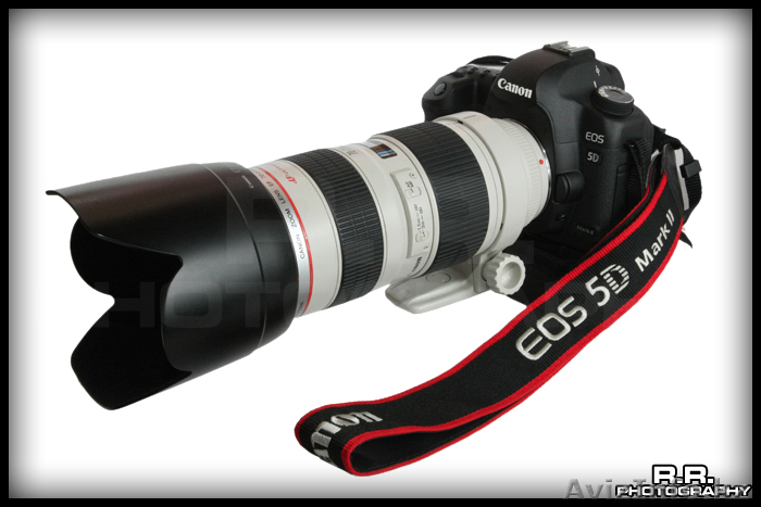 Свадебный фотограф (Астана) - Изображение #1, Объявление #283434