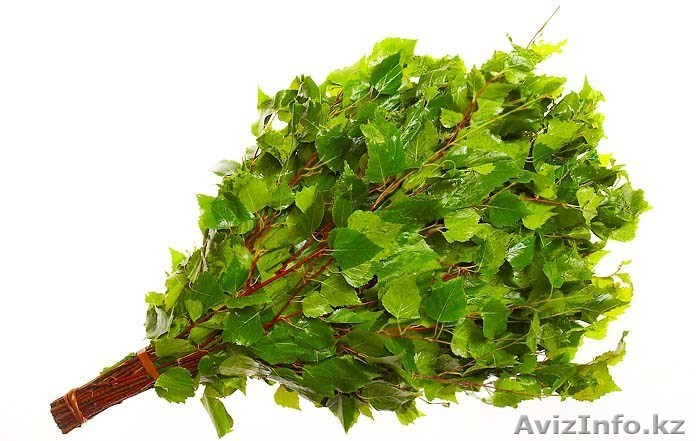 ВЕНИКИ ДЛЯ БАНИ..БЕРЕЗОВЫЕ - Изображение #1, Объявление #317071