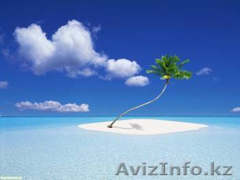 Роскошный отдых в ОАЭ с Palm tour! - Изображение #1, Объявление #385224