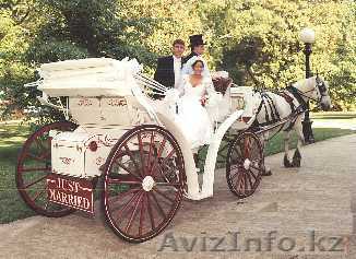Впервые все о каретах! - Изображение #1, Объявление #437925