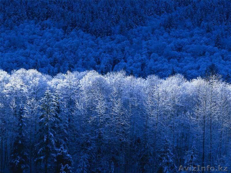 сниму комнату в солнечном р-не недорого - Изображение #1, Объявление #443317