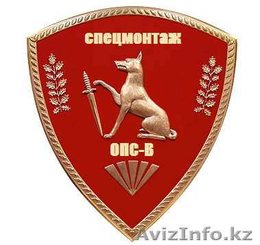ИП СпецМонтаж ОПС-В - Изображение #1, Объявление #478167