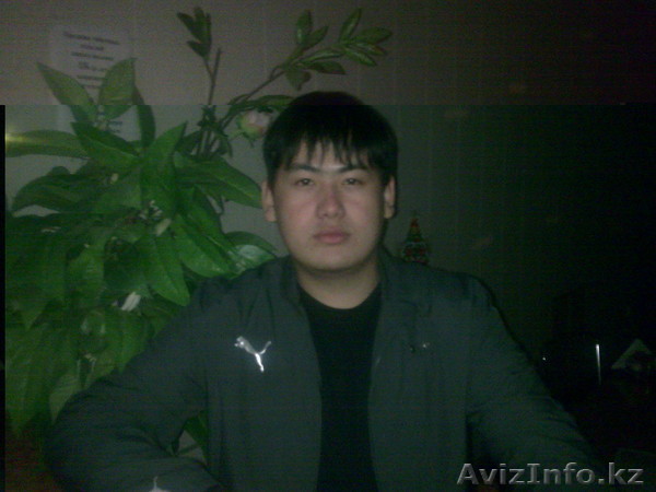 Услуги программиста!!! - Изображение #1, Объявление #491626