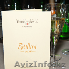 STILLINI (Стиллини) - Изображение #1, Объявление #577735