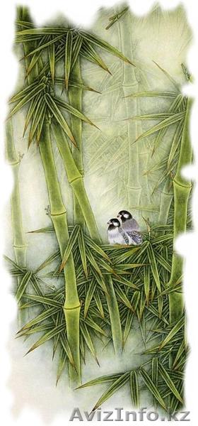 китайский массаж - Изображение #1, Объявление #610368