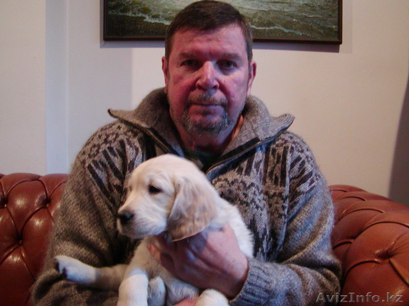 Подготовлю диссертации, монографии, статьи, авторефераты  - Изображение #1, Объявление #607745