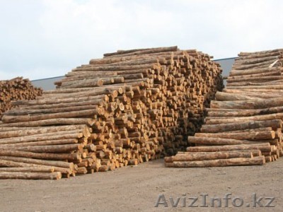 Наша компания экспортирует собственный лес и лесоматериалы с Украины. Готовы сот - Изображение #1, Объявление #672075