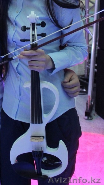 Электрическая скрипка (electric violin) - Изображение #1, Объявление #646293