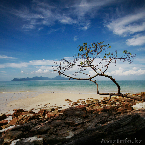 бухгалтерские услуги, и ведение ИП и ТОО на дому - Изображение #1, Объявление #723178