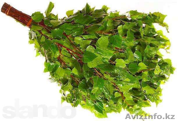 банные веники березовые оптом продам - Изображение #1, Объявление #778239