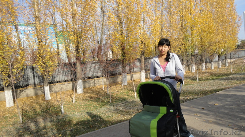 Детская коляска, авто кресло  - Изображение #1, Объявление #785025