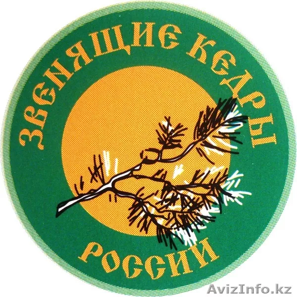 Продукция из кедра - Изображение #1, Объявление #785135
