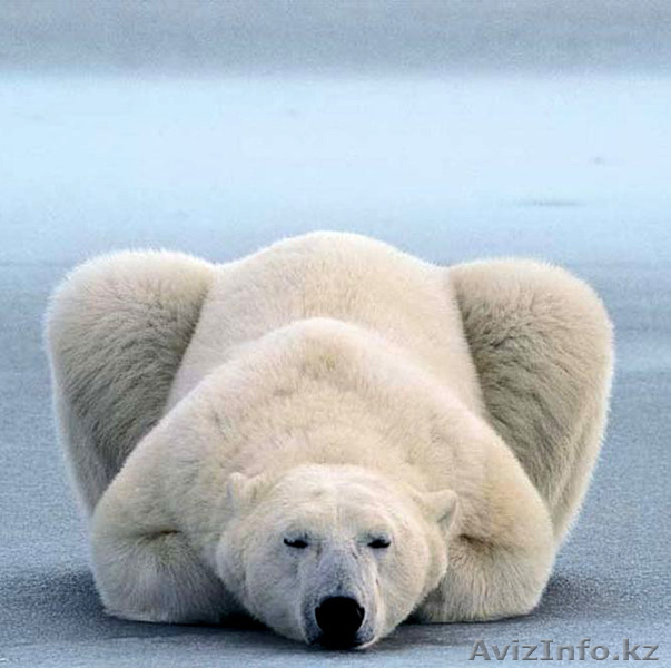 Йога для всех!!! - Изображение #1, Объявление #811093