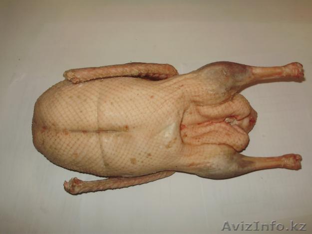 продаю гусей халял - Изображение #1, Объявление #800965