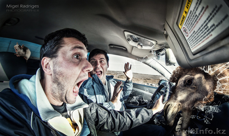 Фотограф Астана - Изображение #1, Объявление #801078