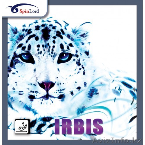 Настольный теннис: накладка Spinlord Irbis  - Изображение #1, Объявление #807195