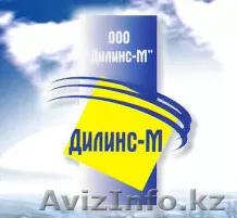Бытовая химия Дилинс - М - Изображение #1, Объявление #818823