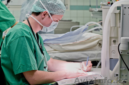 Intermed-Partner - Изображение #1, Объявление #831650