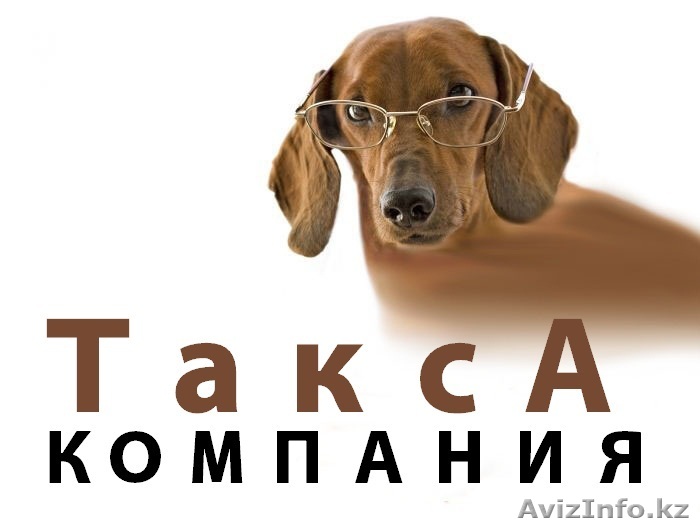 Сдача налоговой отчетности в Астане - Изображение #1, Объявление #821325