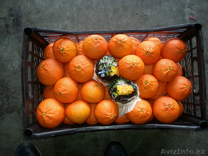 ФРУКТЫ И ОВОЩИ ОПТОМ ОТ 1КОНТЕЙНЕРА - Изображение #1, Объявление #843555