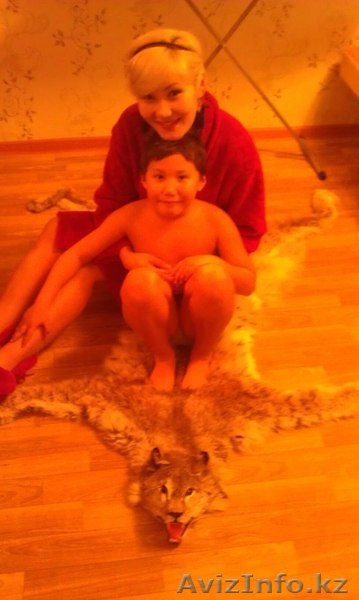 возьму  молодую девушку на подселение - Изображение #1, Объявление #851633