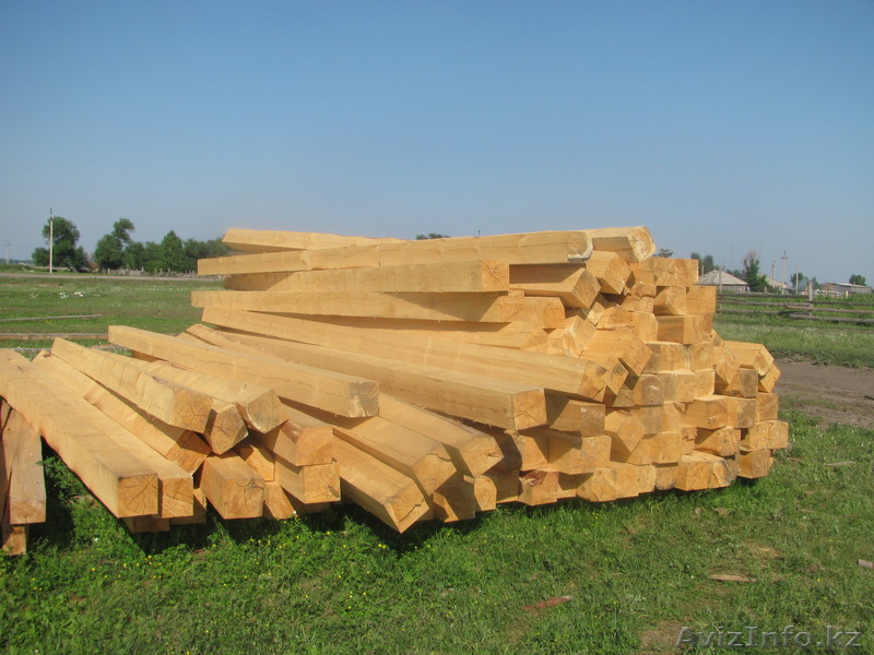 Бизнес (под ключ) На Алтае - Изображение #1, Объявление #876346