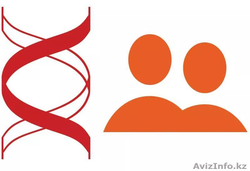 Днк тесты на отцовство - Изображение #1, Объявление #933999