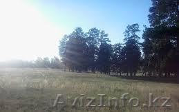 Продам участок рядом с Астаной под бизнес - Изображение #1, Объявление #946491