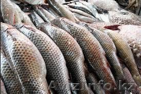 Организация реализует со склада в Астане - Изображение #1, Объявление #995848