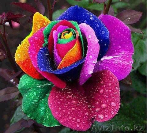 Косметолог Массажист  - Изображение #1, Объявление #1003467