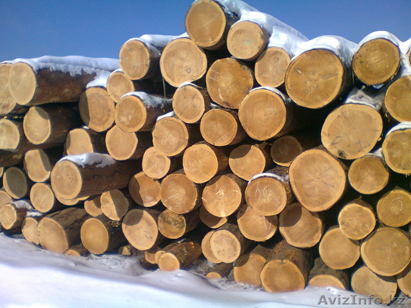 Продаем пиломатериалы от производителя - Изображение #1, Объявление #1007481