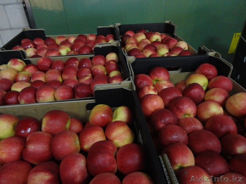 ALDA Sp.J  darek@alda93.pl - Изображение #1, Объявление #1005179