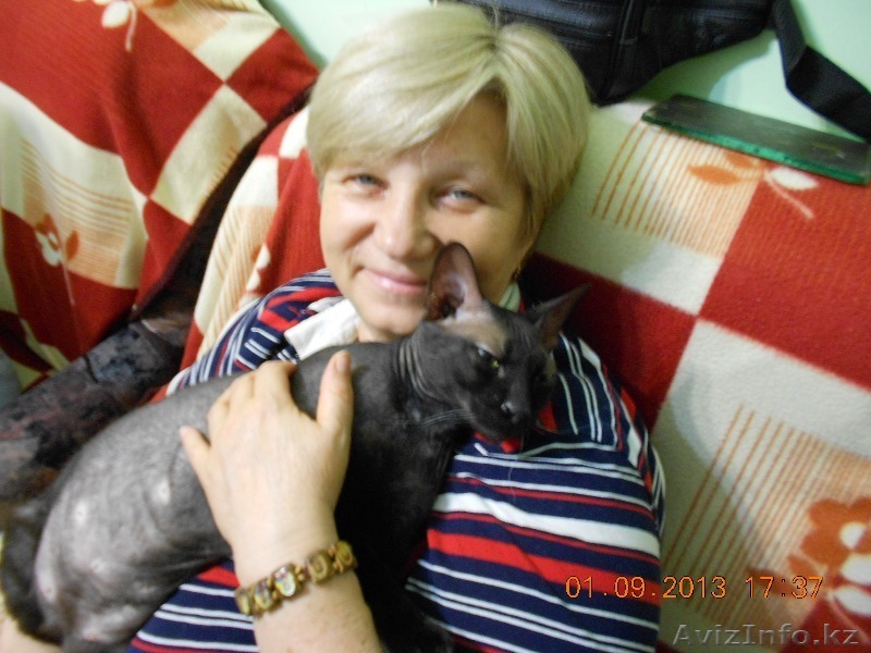 сдам койка-место - Изображение #1, Объявление #1034724