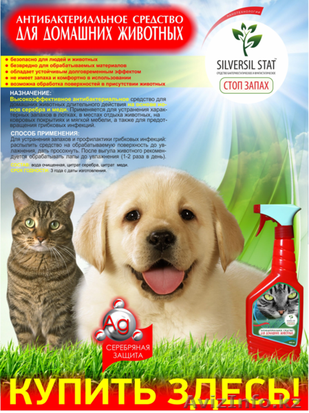 обеззараживание и дезинфекция для домашних питомцев - Изображение #1, Объявление #1033440