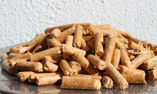 Илес-87753176767 - Изображение #1, Объявление #1043808