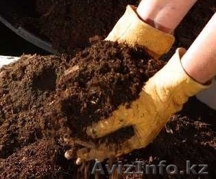 Перегной, чернозём песок, цемент, дресва - Изображение #1, Объявление #1080270