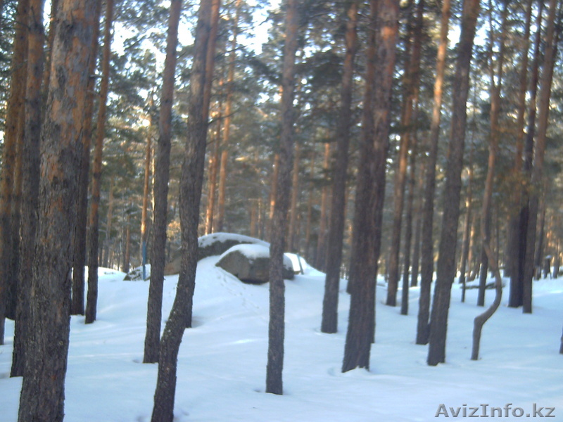 Срочно продам участок в Боровской зоне - Изображение #1, Объявление #1075584