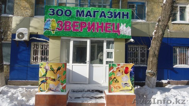 аквариум астана - Изображение #1, Объявление #1080682