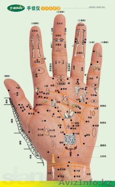 Акупунктурная Диагностика организма - Изображение #1, Объявление #1094388