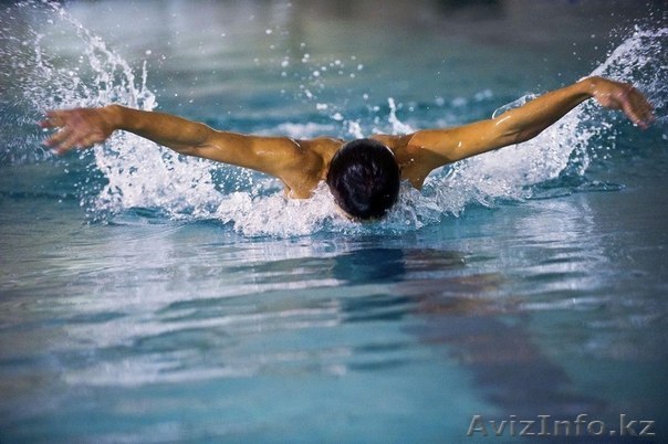 Обучаю плаванию! - Изображение #1, Объявление #1154258