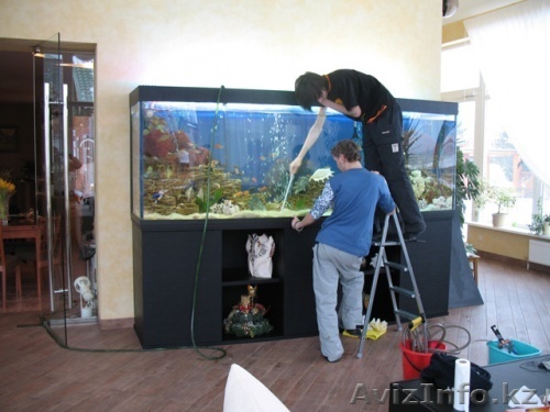 чистка аквариума - Изображение #1, Объявление #1227202